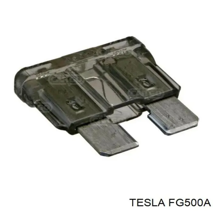  FG500A Tesla