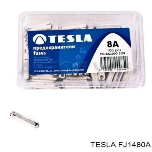 FJ1480A Tesla