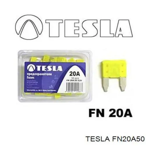 FN20A50 Tesla