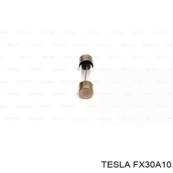 FX30A10 Tesla Предохранители электрических цепей