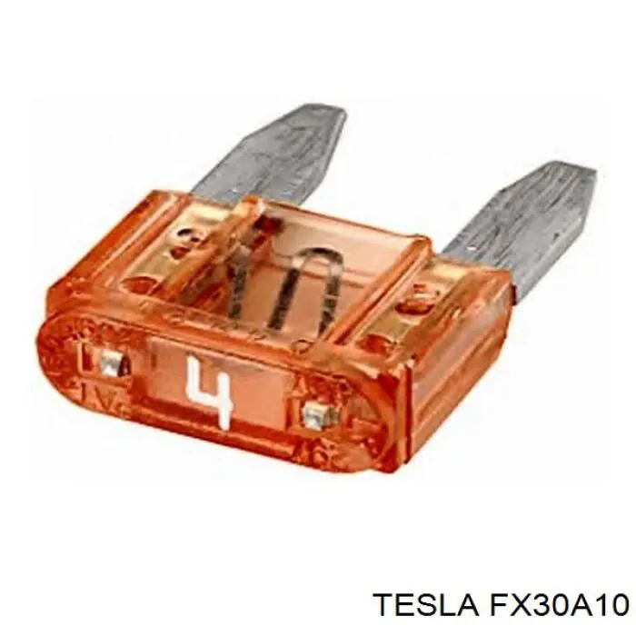 Предохранители FX30A10 Tesla