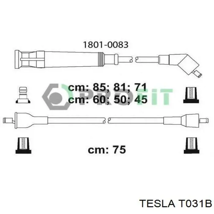  T031B Tesla