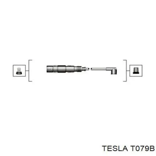 T079B Tesla