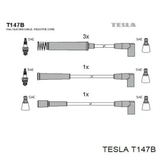  T147B Tesla