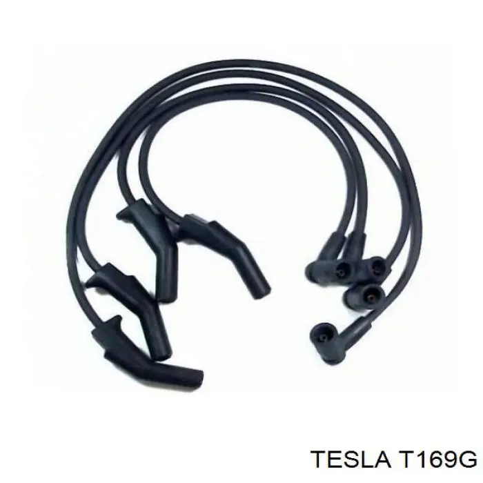 T169G Tesla 