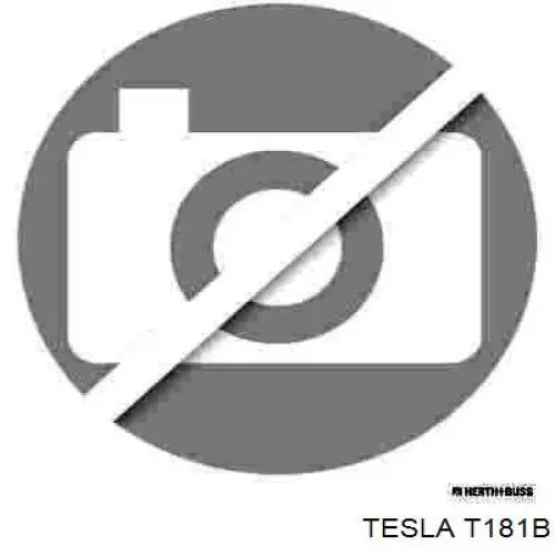 T181B Tesla