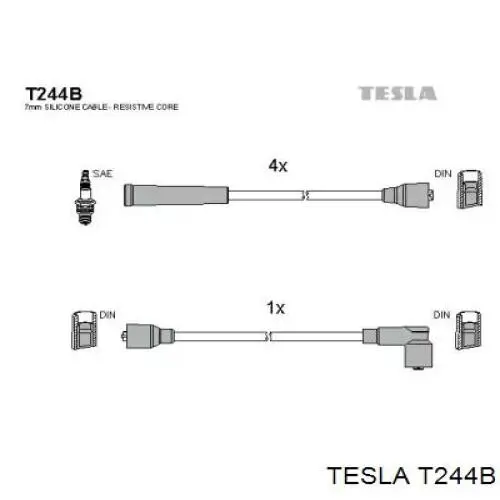  T244B Tesla