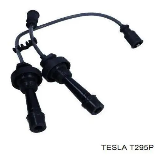 Провода зажигания Tesla T295P цена, от 18.89 USD