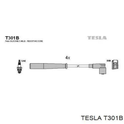  T301B Tesla