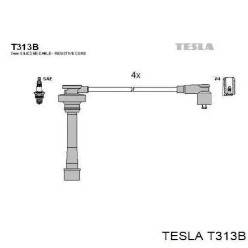 T313B Tesla