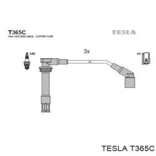  T365C Tesla