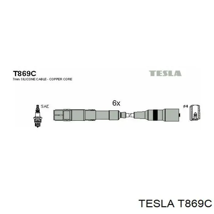 T869C Tesla