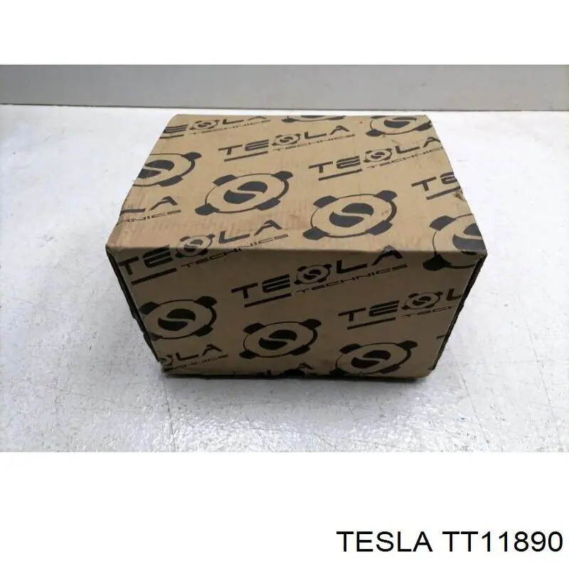 Генератор TT11890 Tesla