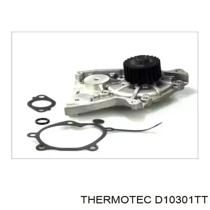 Помпа D10301TT Thermotec