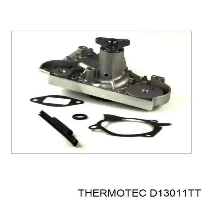 Помпа D13011TT Thermotec