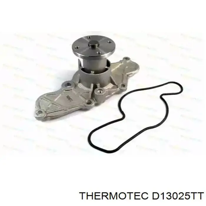 Помпа D13025TT Thermotec