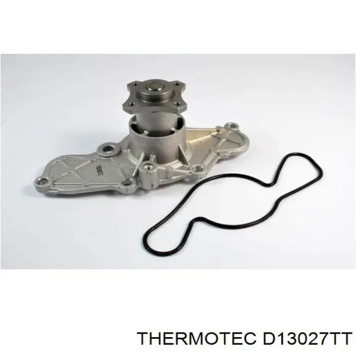 Bomba de agua D13027TT Thermotec