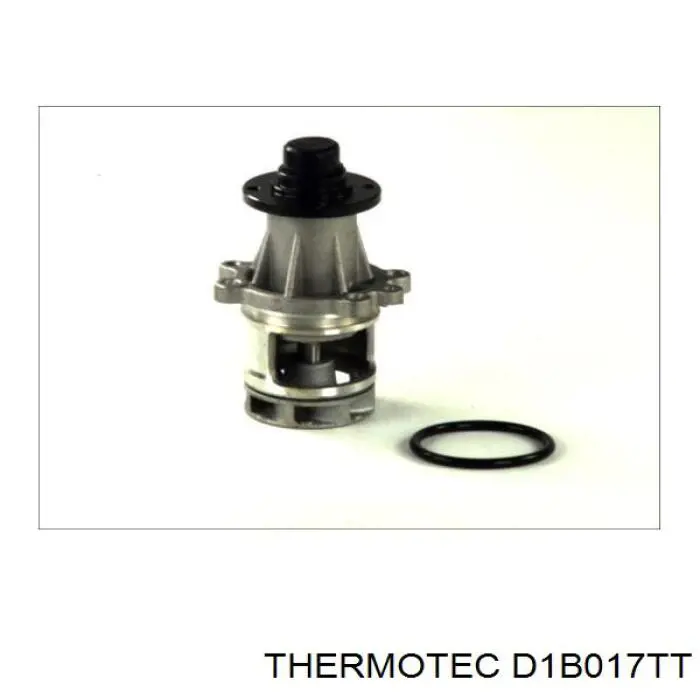 Bomba de agua D1B017TT Thermotec