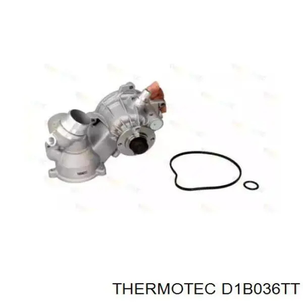 Помпа D1B036TT Thermotec