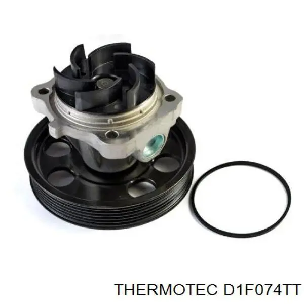 Bomba de agua D1F074TT Thermotec