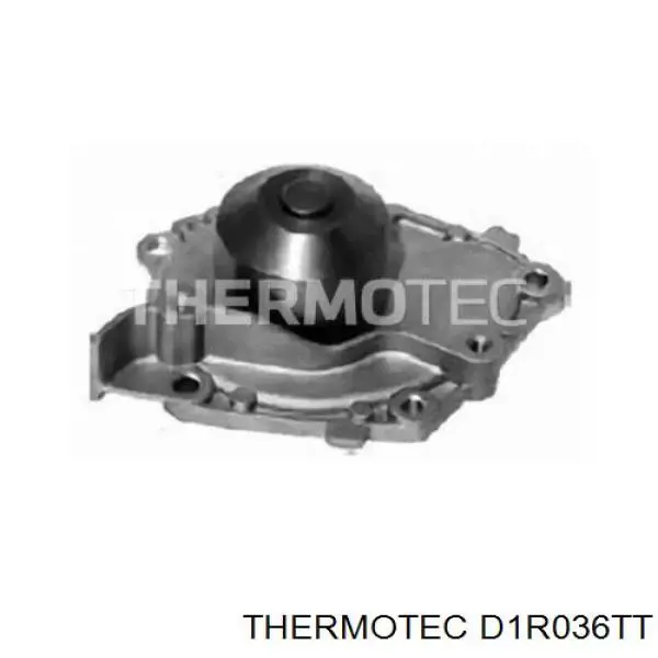 Помпа D1R036TT Thermotec