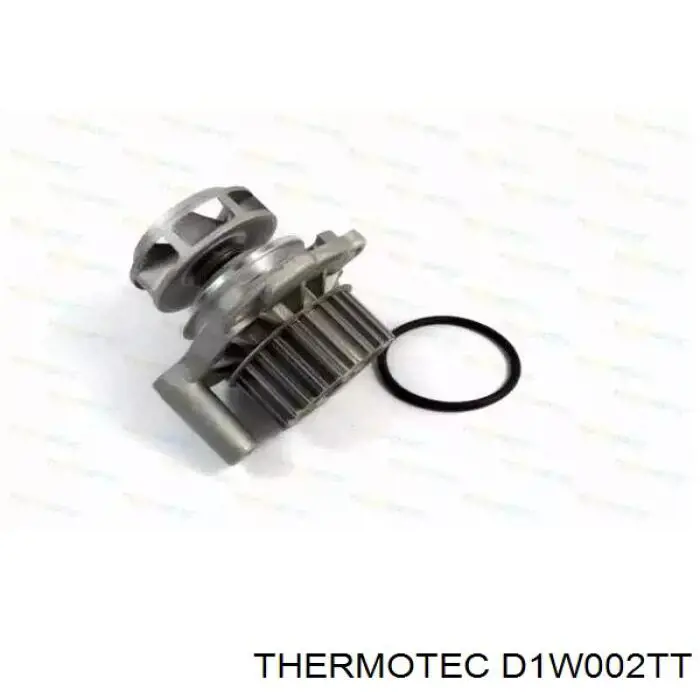 Помпа D1W002TT Thermotec