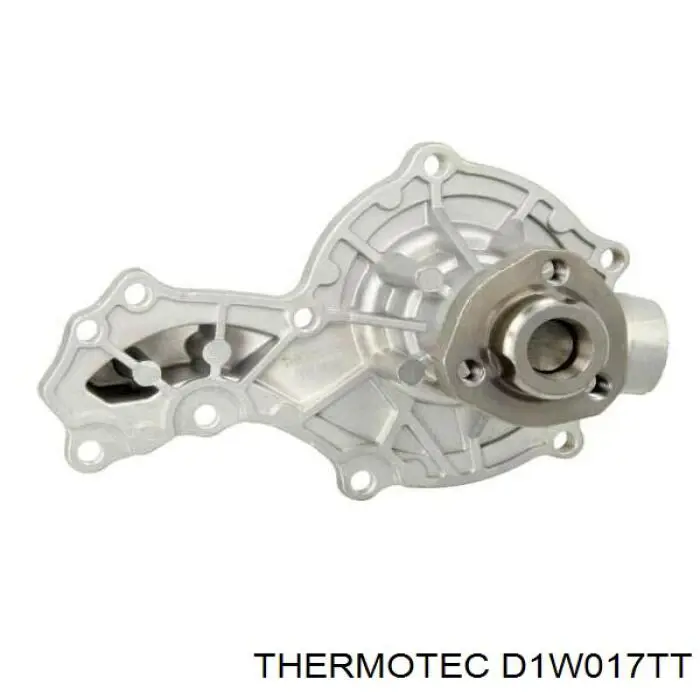 Помпа D1W017TT Thermotec