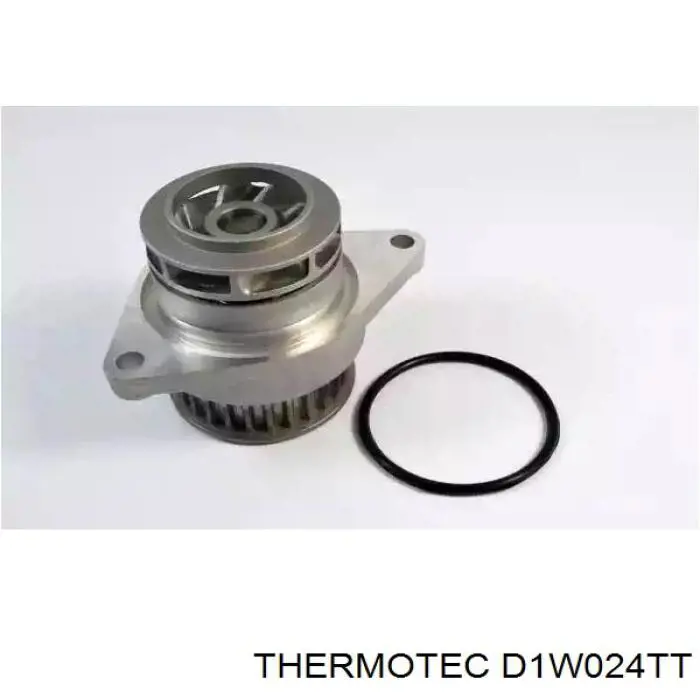 D1W024TT Thermotec помпа