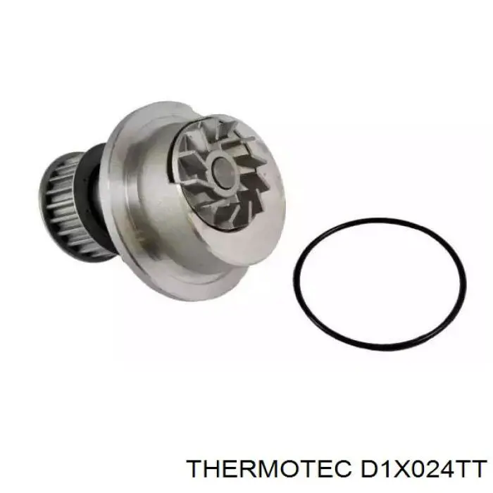 Помпа D1X024TT Thermotec