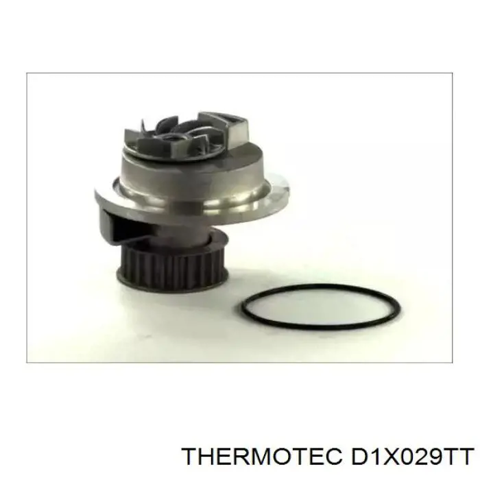 Помпа D1X029TT Thermotec