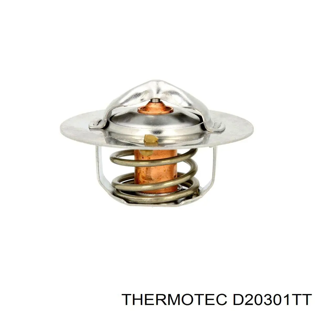 Termostato, refrigerante D20301TT Thermotec