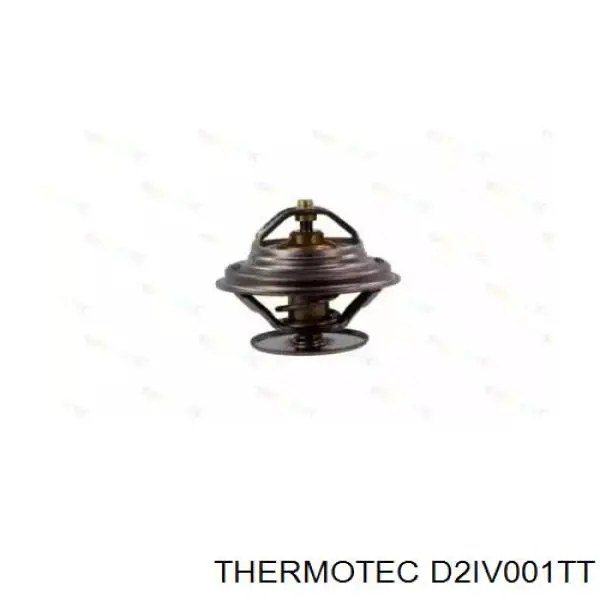 Термостат D2IV001TT Thermotec