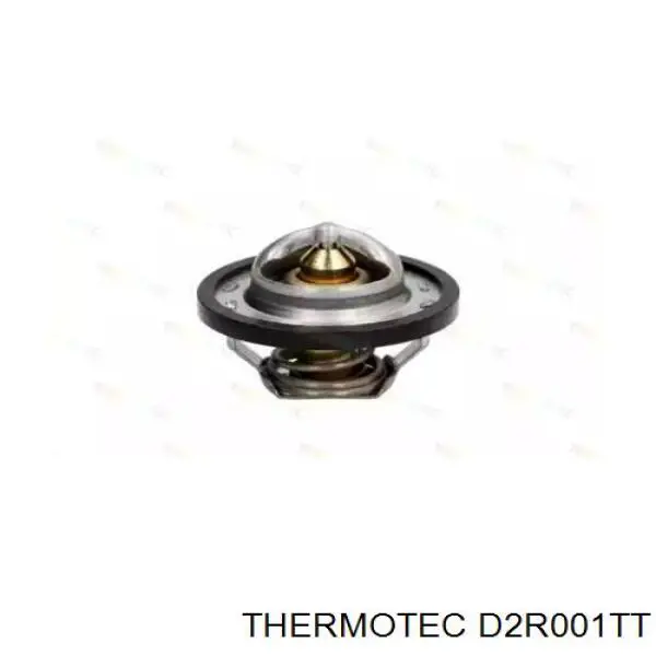 Термостат в корпусі D2R001TT Thermotec