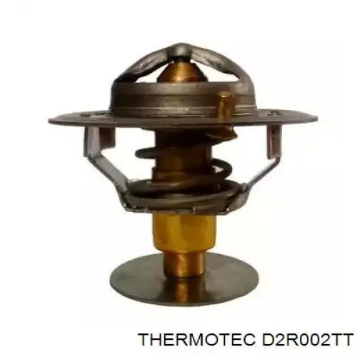 Caixa do termostato D2R002TT Thermotec