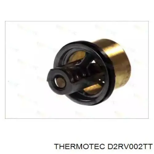  D2RV002TT Thermotec