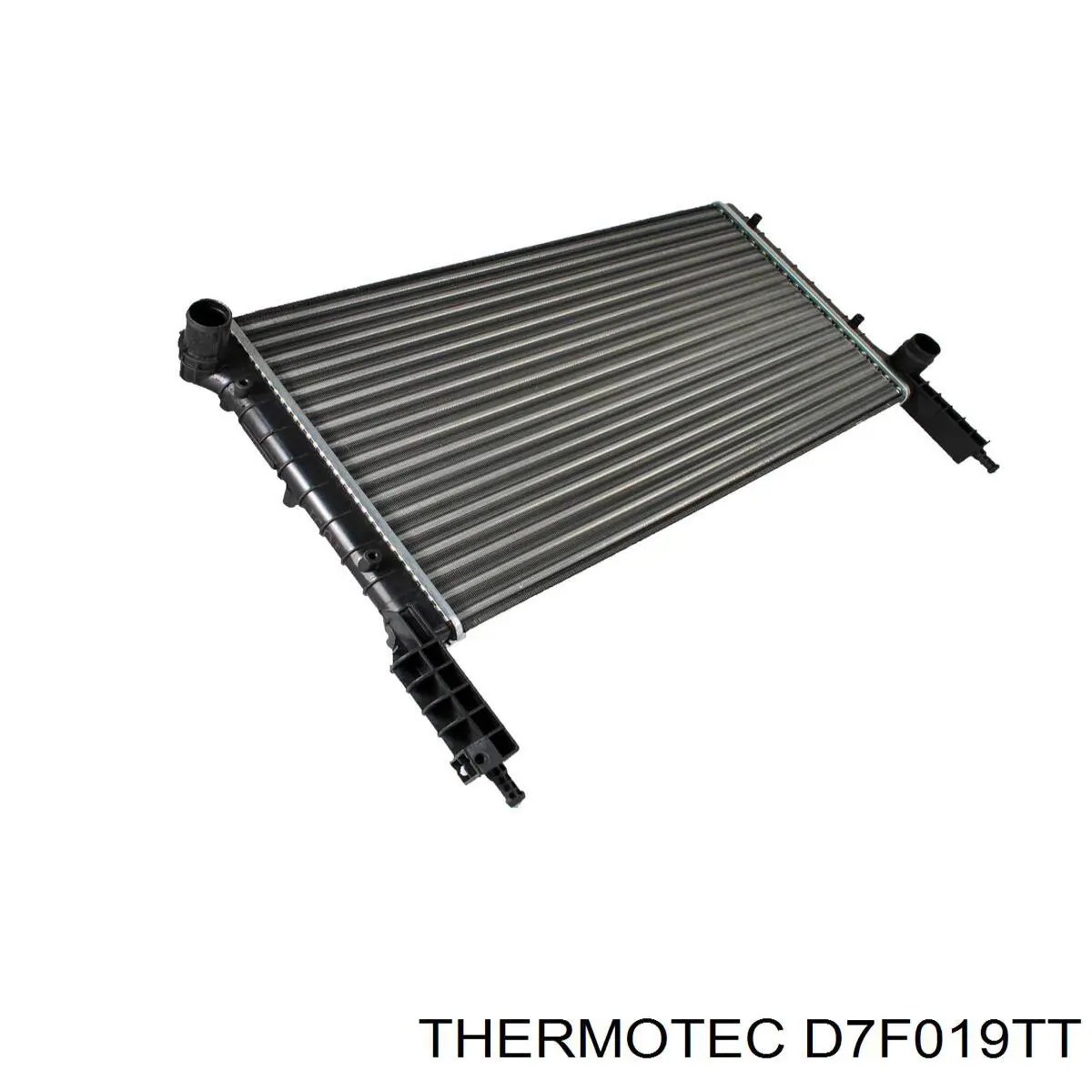 D7F019TT Thermotec радиатор