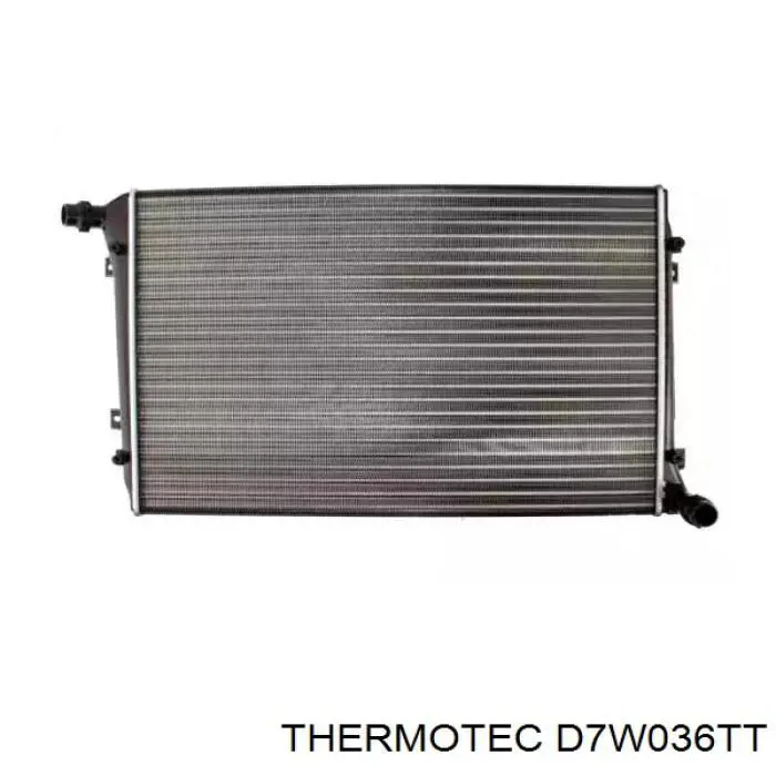 Радіатор охолодження двигуна D7W036TT Thermotec