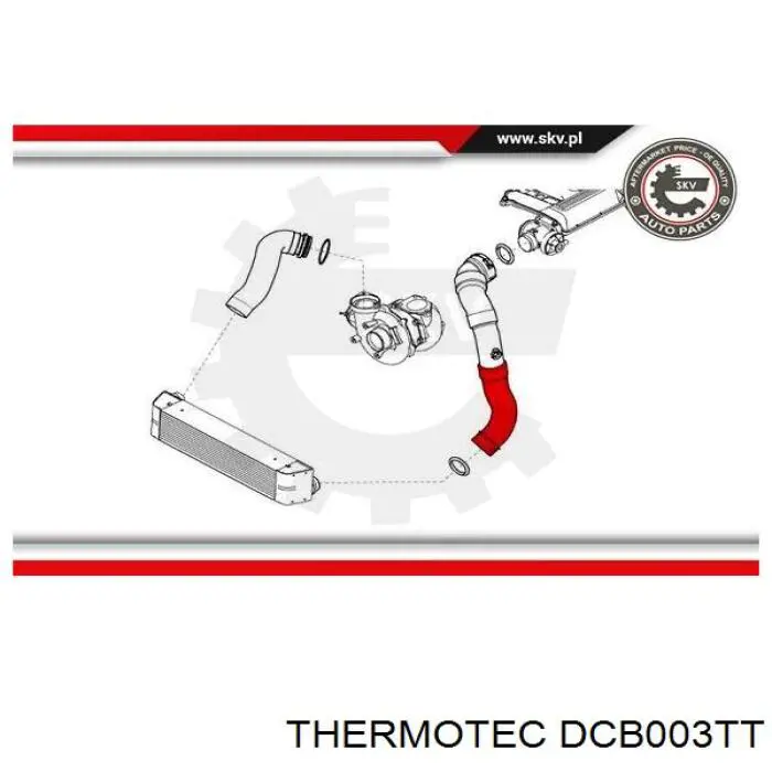 Купить DCB003TT Thermotec Патрубок интеркулера