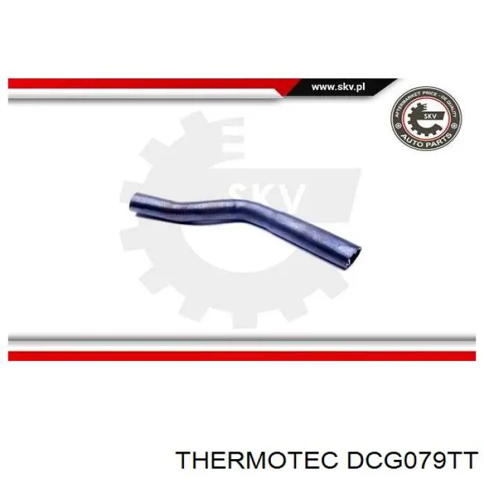  DCG079TT Thermotec