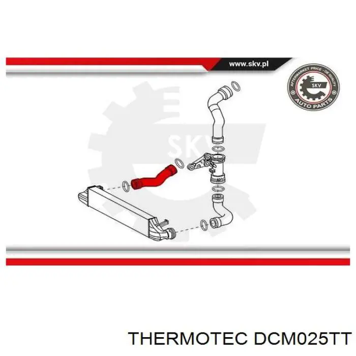 Купить DCM025TT Thermotec Патрубок интеркулера