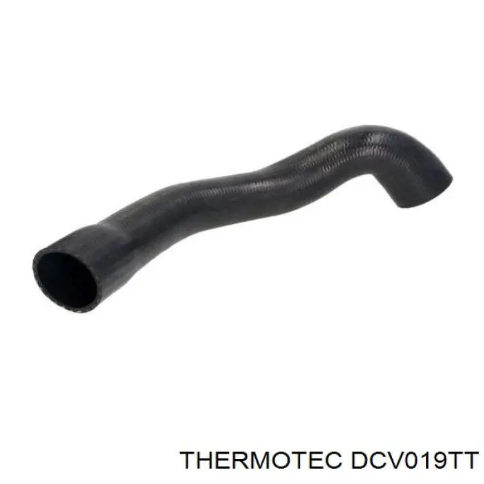 DCV019TT Thermotec 