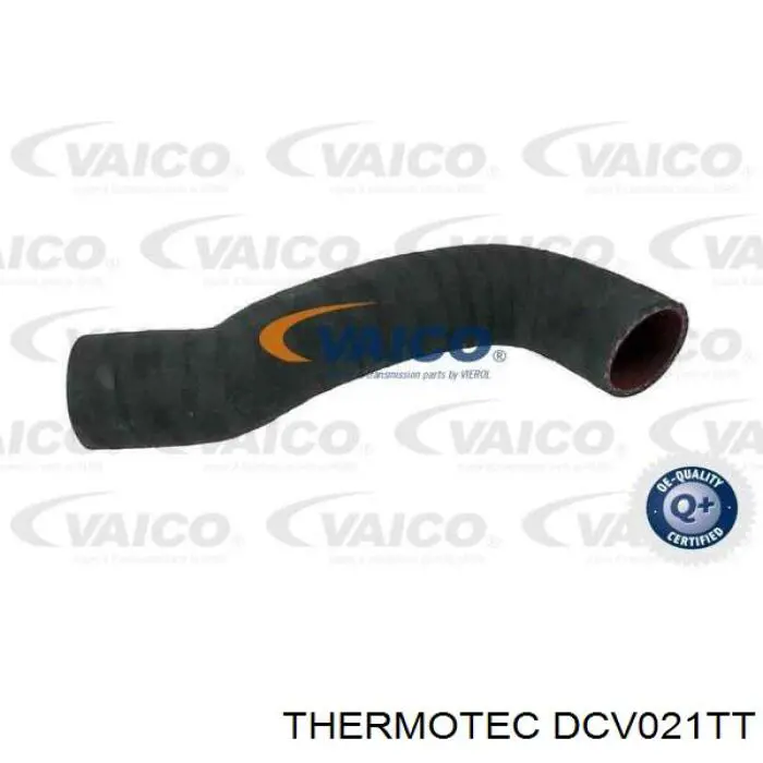 DCV021TT Thermotec 