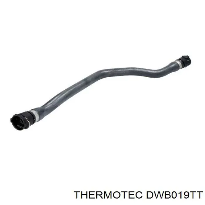 Нижний шлаг радиатора охлаждения DWB019TT Thermotec