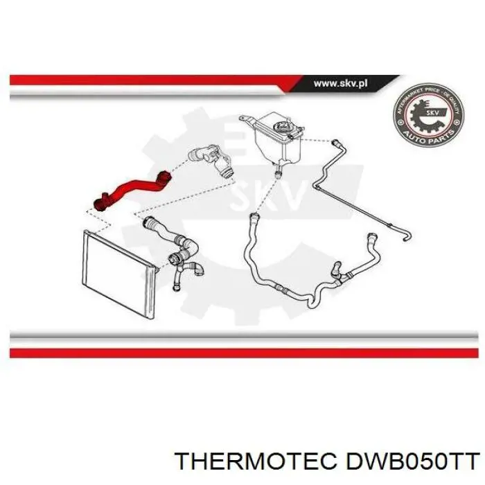 Нижний шлаг радиатора охлаждения DWB050TT Thermotec