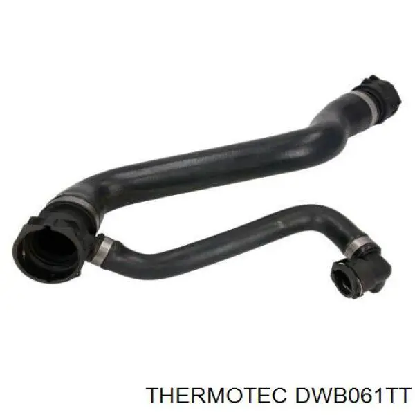 DWB061TT Thermotec mangueira (cano derivado do radiador de esfriamento superior)
