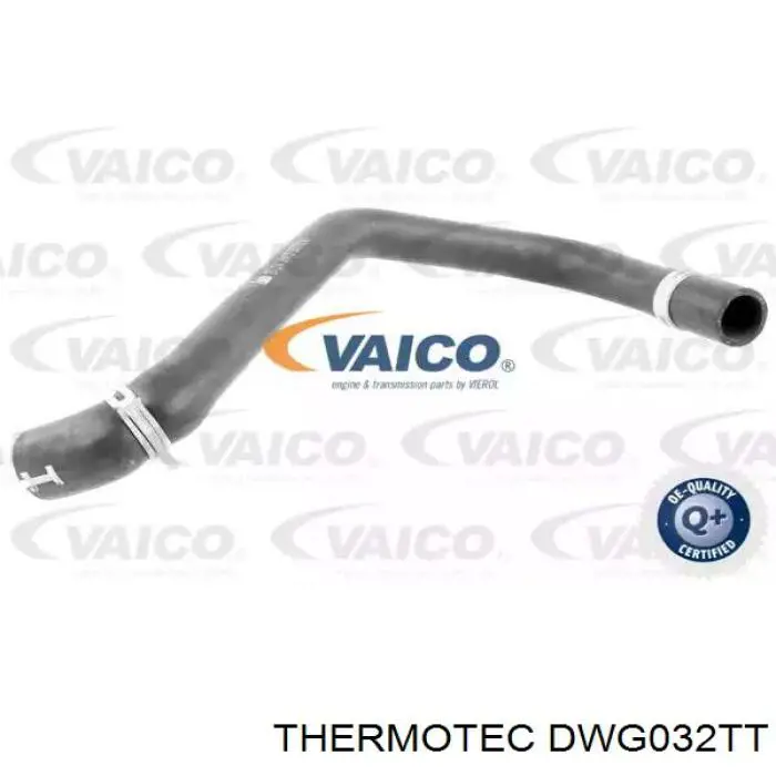 Купить DWG032TT Thermotec Шланг радиатора охлаждения нижний