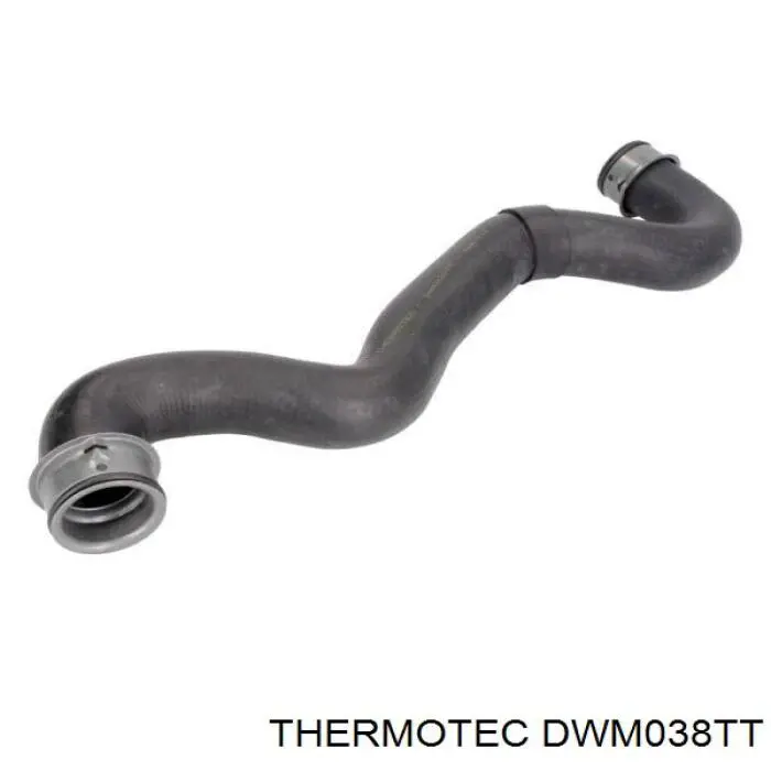 DWM038TT Thermotec mangueira (cano derivado do radiador de esfriamento superior)