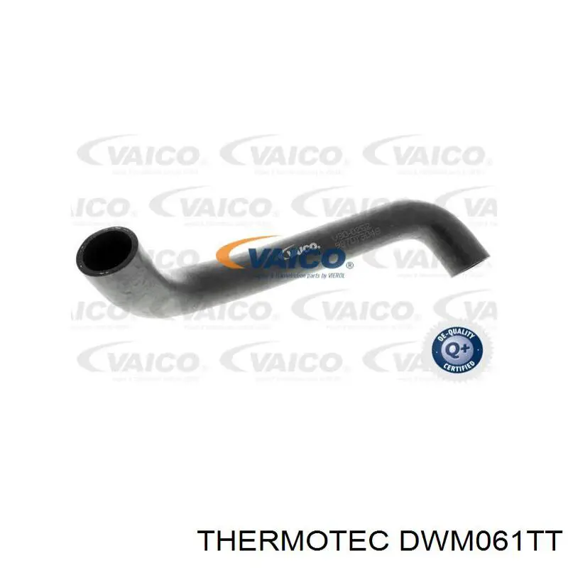 Купить DWM061TT Thermotec Шланг радиатора охлаждения нижний