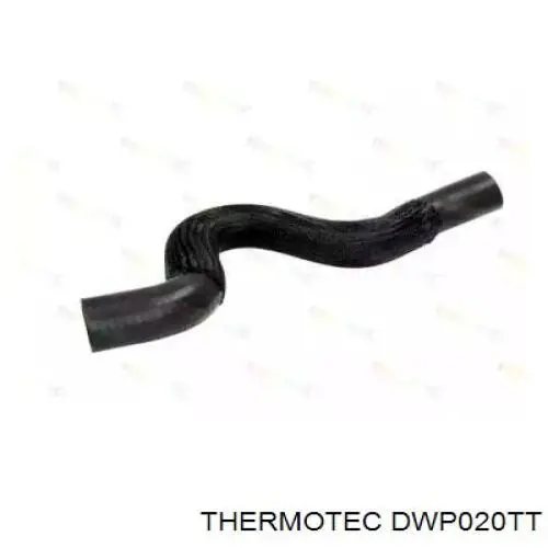 DWP020TT Thermotec mangueira (cano derivado do radiador de esfriamento superior)