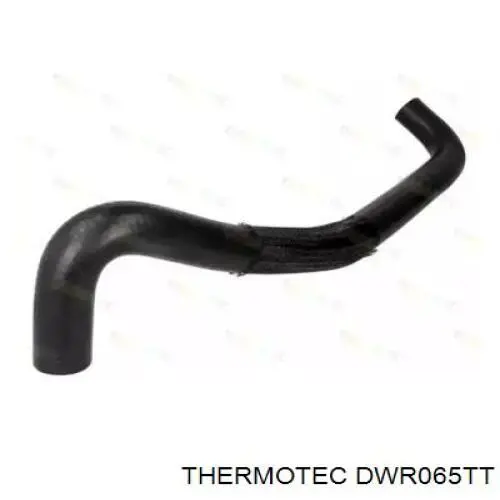 Нижний шлаг радиатора охлаждения DWR065TT Thermotec